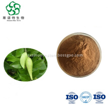 Hot Selling Gymnema Sylvestre Extract Powder